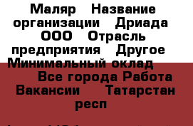 Маляр › Название организации ­ Дриада, ООО › Отрасль предприятия ­ Другое › Минимальный оклад ­ 18 000 - Все города Работа » Вакансии   . Татарстан респ.